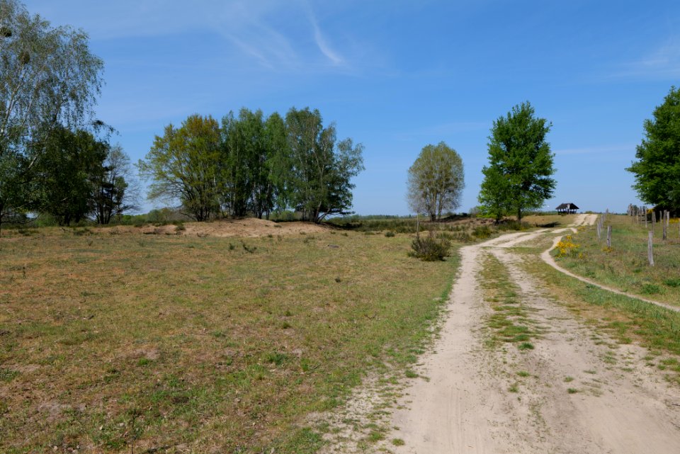 Track in Döberitzer Heide 2020-05-08 46