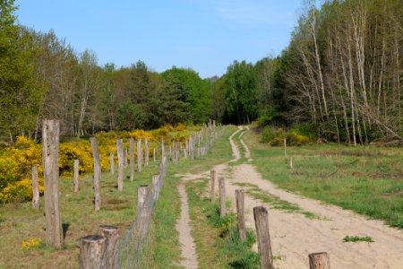 Track in Döberitzer Heide 2020-05-08 71