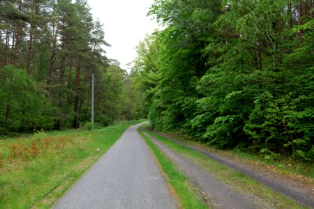 Track from Fürstenberg to Himmelpfort 2021-05-29 11