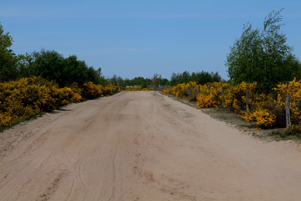 Track in Döberitzer Heide 2020-05-08 61