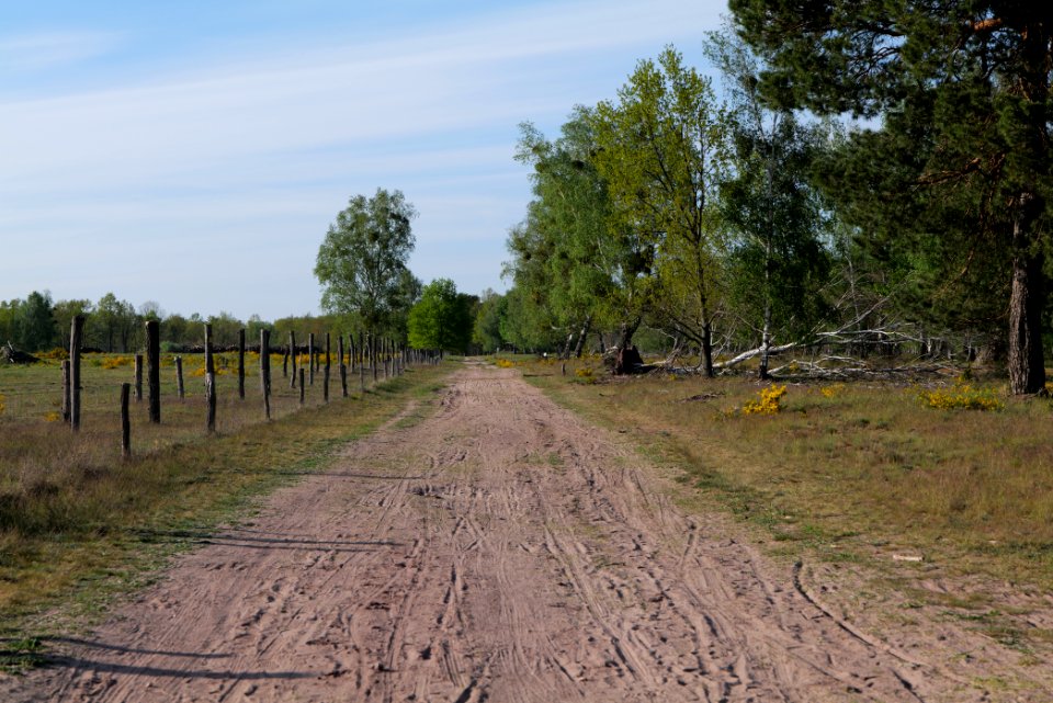 Track in Döberitzer Heide 2020-05-08 76