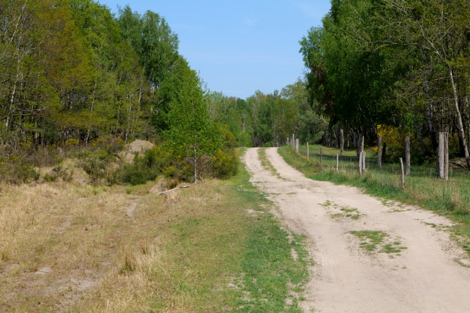 Track in Döberitzer Heide 2020-05-08 51
