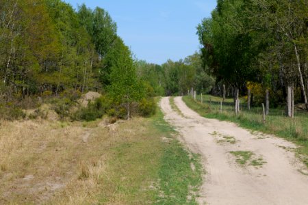 Track in Döberitzer Heide 2020-05-08 51