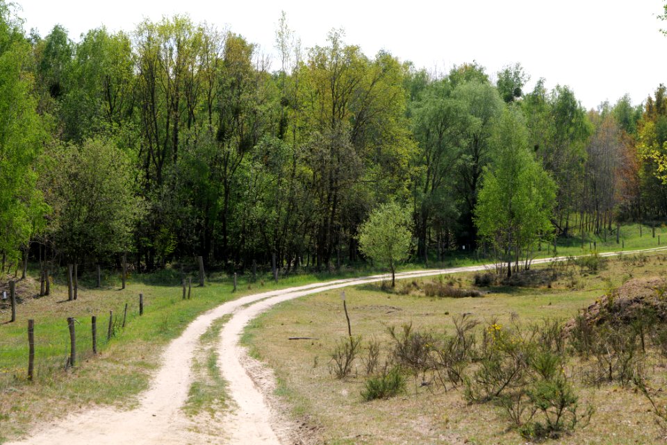 Track in Döberitzer Heide 2020-05-08 48