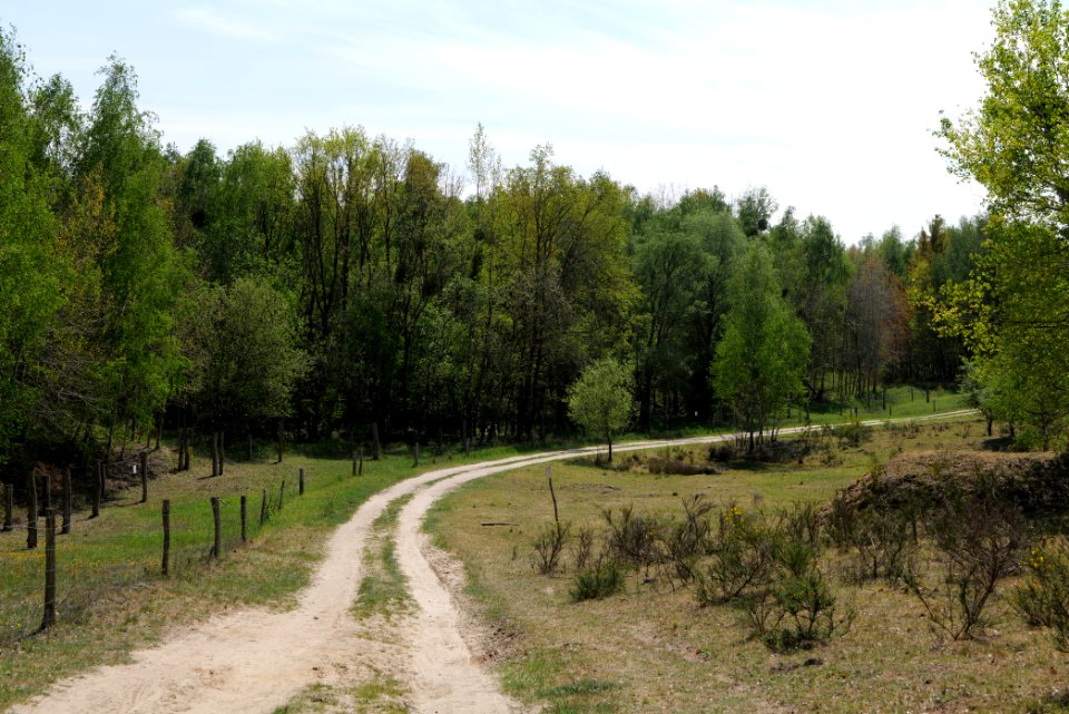 Track in Döberitzer Heide 2020-05-08 49