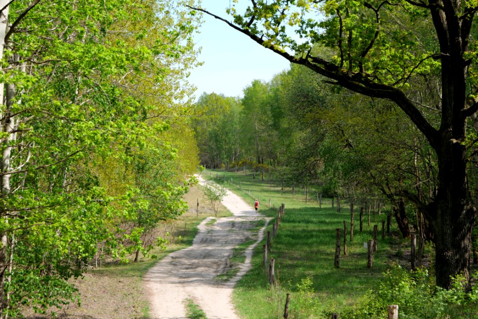 Track in Döberitzer Heide 2020-05-08 54