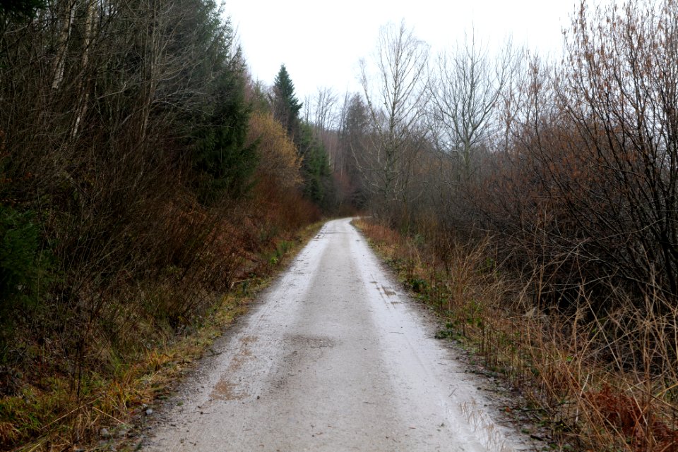 Track around Schwarzenbachtalsperre 2020-03-10 04