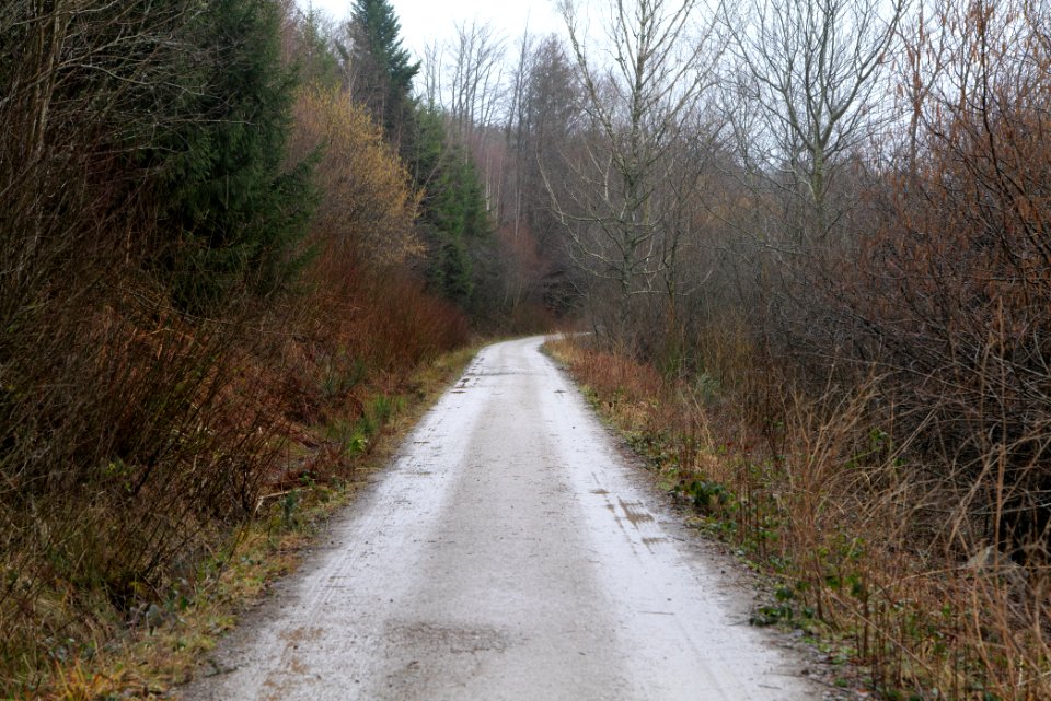 Track around Schwarzenbachtalsperre 2020-03-10 03