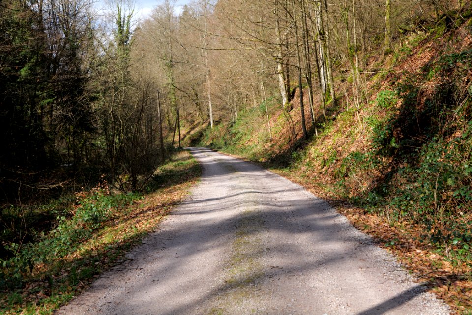 Track along Harzbach 2020-03-13 03