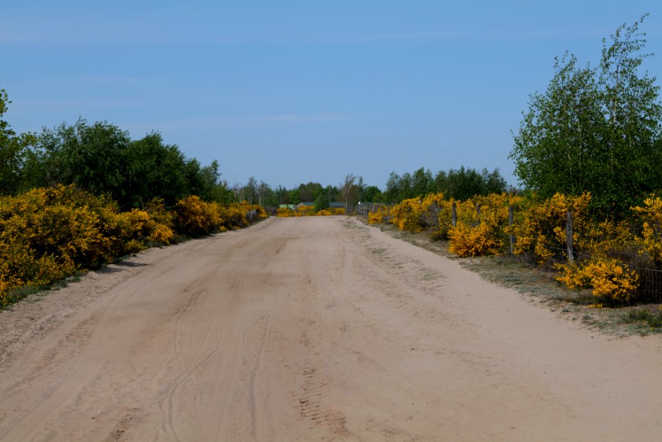 Track in Döberitzer Heide 2020-05-08 60