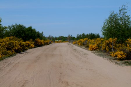 Track in Döberitzer Heide 2020-05-08 60