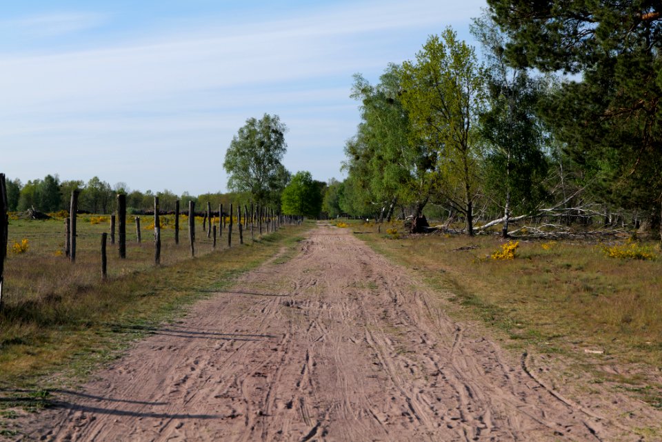 Track in Döberitzer Heide 2020-05-08 77