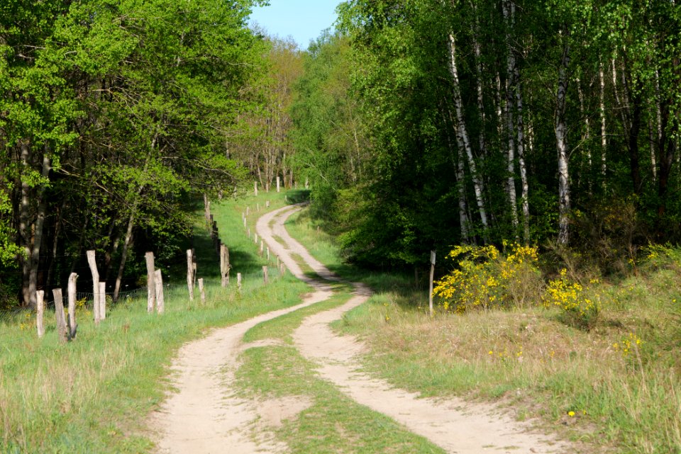 Track in Döberitzer Heide 2020-05-08 73
