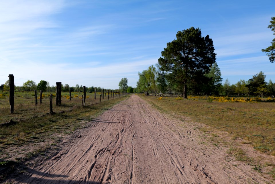 Track in Döberitzer Heide 2020-05-08 78