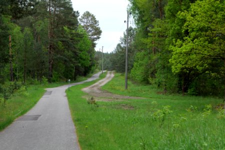 Track from Fürstenberg to Himmelpfort 2021-05-29 04