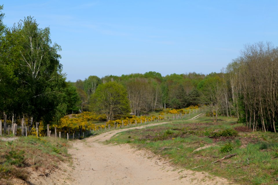 Track in Döberitzer Heide 2020-05-08 69