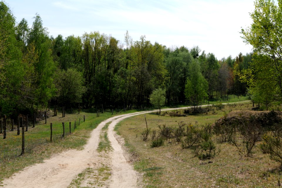 Track in Döberitzer Heide 2020-05-08 47