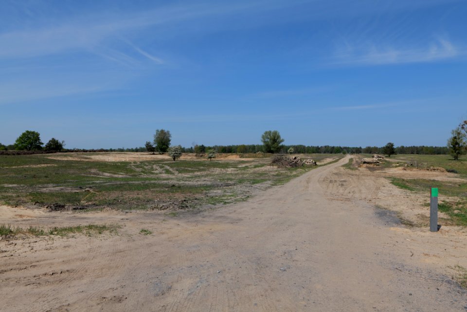 Track in Döberitzer Heide 2020-05-08 43