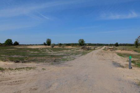 Track in Döberitzer Heide 2020-05-08 43