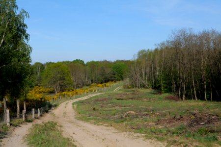 Track in Döberitzer Heide 2020-05-08 70