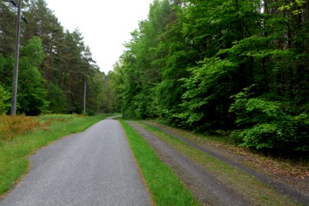 Track from Fürstenberg to Himmelpfort 2021-05-29 10
