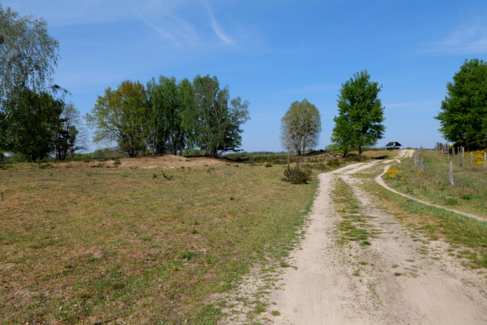 Track in Döberitzer Heide 2020-05-08 45