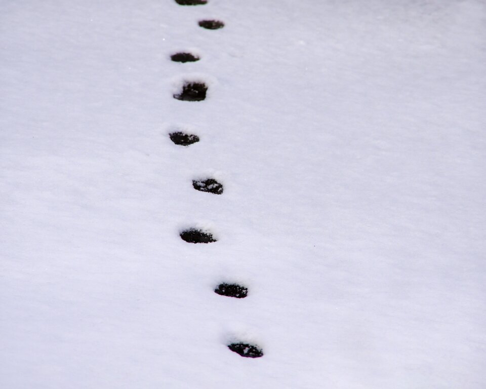 Outdoor foot prints season