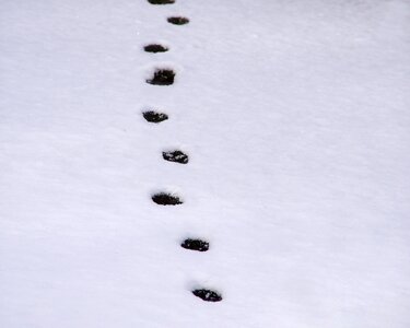 Outdoor foot prints season photo