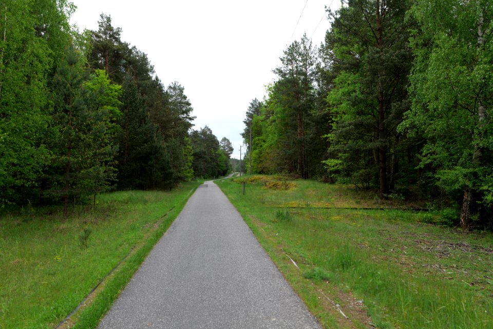 Track from Fürstenberg to Himmelpfort 2021-05-29 02