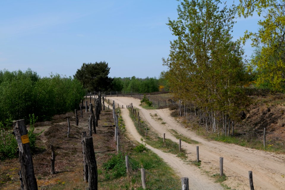 Track in Döberitzer Heide 2020-05-08 58
