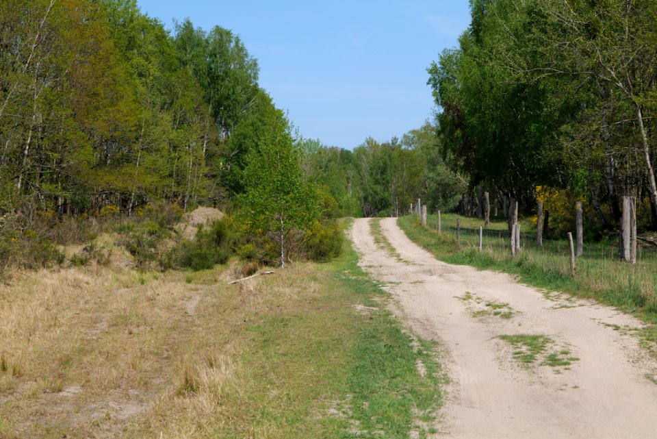 Track in Döberitzer Heide 2020-05-08 50