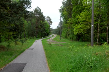 Track from Fürstenberg to Himmelpfort 2021-05-29 05