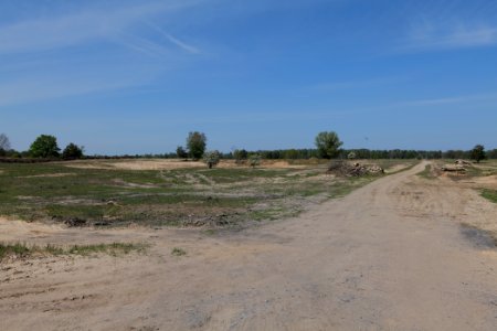 Track in Döberitzer Heide 2020-05-08 44