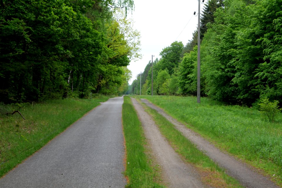 Track from Fürstenberg to Himmelpfort 2021-05-29 14