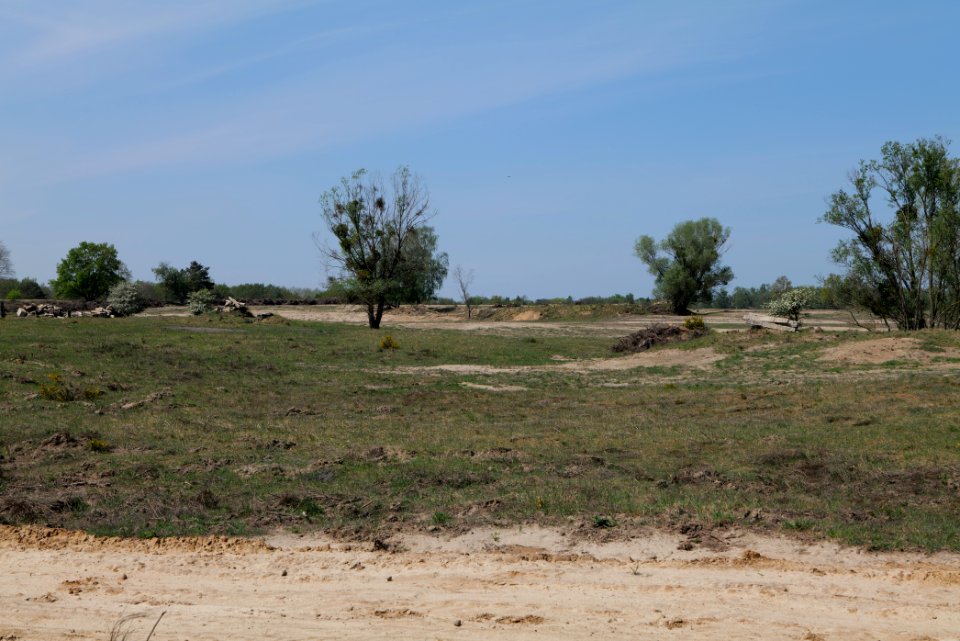 Track in Döberitzer Heide 2020-05-08 39