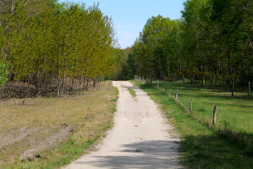 Track in Döberitzer Heide 2020-05-08 53
