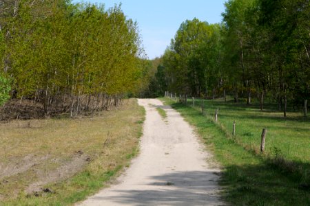 Track in Döberitzer Heide 2020-05-08 53