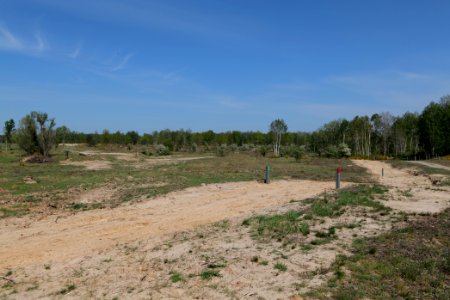 Track in Döberitzer Heide 2020-05-08 40