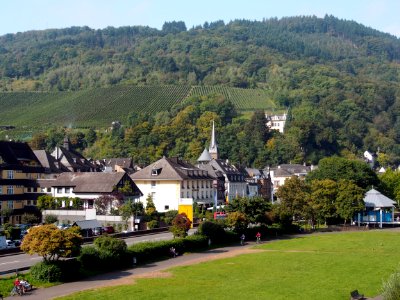 Traben-Trarbach, panoramic view, pic3