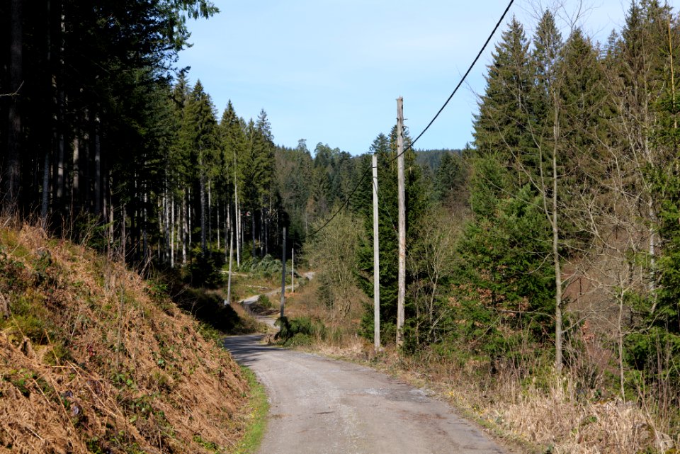 Track around Schwarzenbachtalsperre 2020-03-15