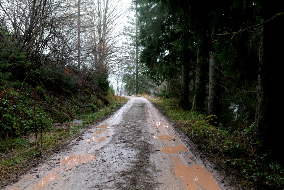Track around Schwarzenbachtalsperre 2020-03-10 01