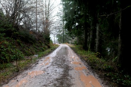 Track around Schwarzenbachtalsperre 2020-03-10 01