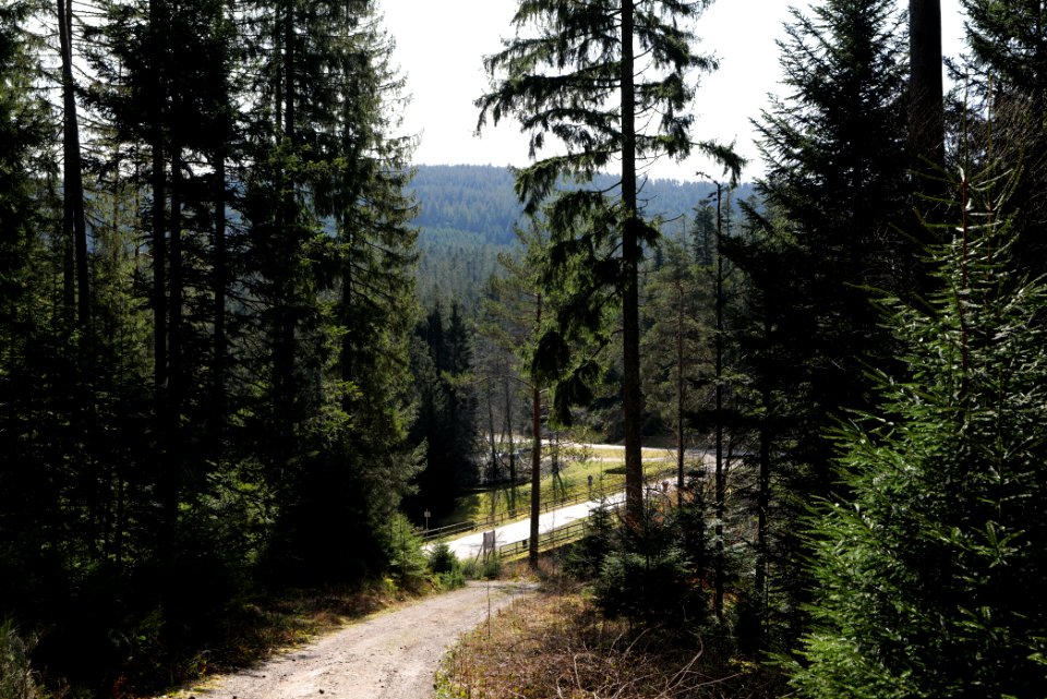 Track along Schwarzenbach Northern Black Forest 2020-03-15 05