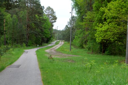 Track from Fürstenberg to Himmelpfort 2021-05-29 03