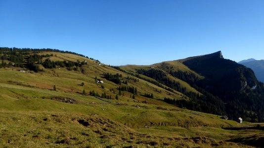 Tschuggen auf Palfries