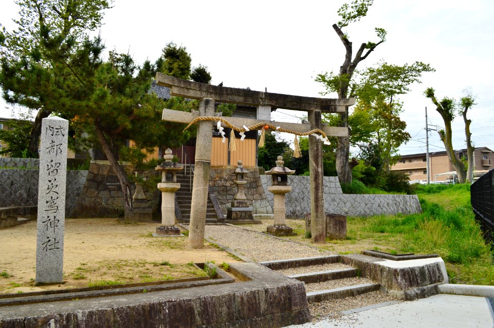 Tsurumishima-jinja, torii