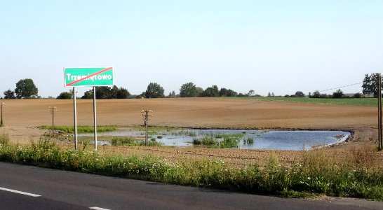 Trzemiętowo oczko