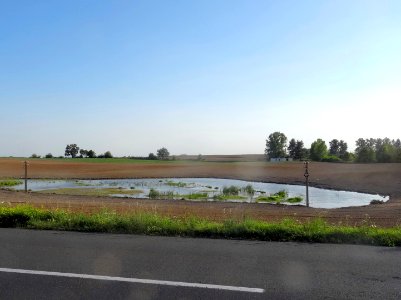 Trzemietowo oczko2
