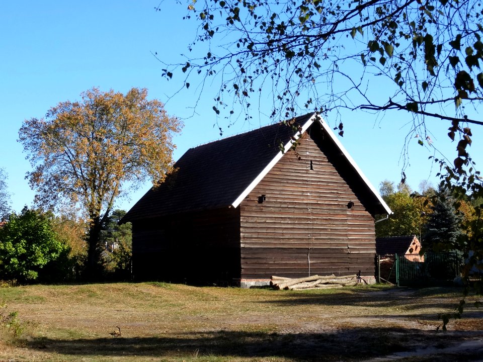 Trzciniec 3 10-2015
