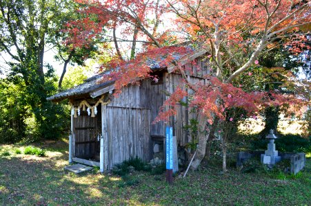 Tsuno-jinja (Kami), honden-4
